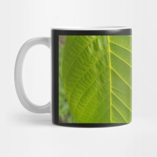 Chestnut green leaf, close up nature photography Mug